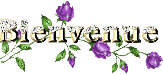 Bien Venue Sur Mon Vip Blog